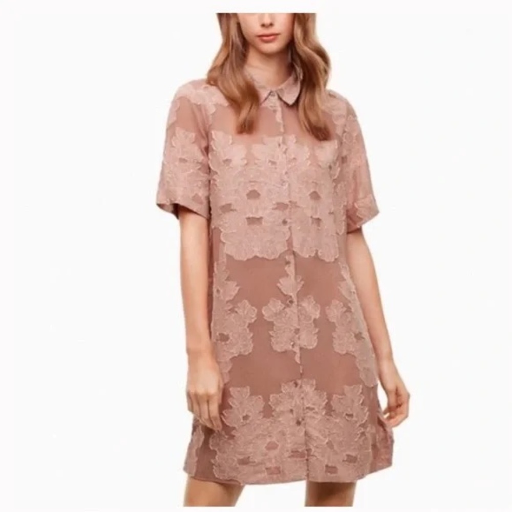 Wilfred Floral Lace Mini Dress in Blush
